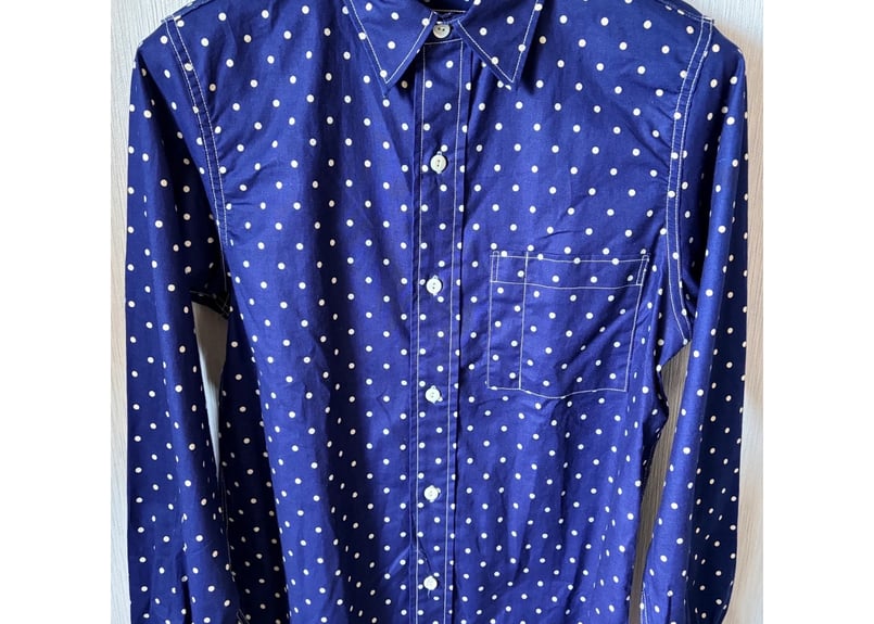 リアルマッコイズ THE REAL McCOY'S ポルカドットワークシャツ 15（M