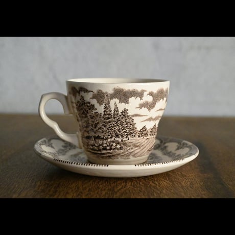 ENGLISH IRONSTONE ”Cup & Saucer"