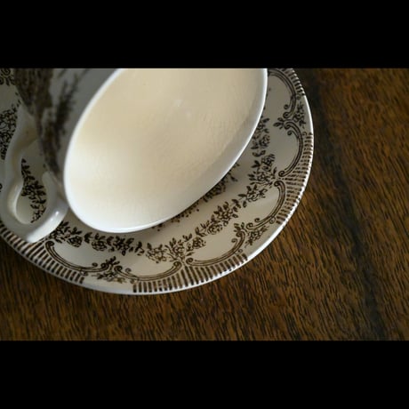 ENGLISH IRONSTONE ”Cup & Saucer"