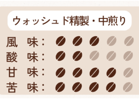 コーヒードリップバッグ　グアテマラ・ウエウエテナンゴ