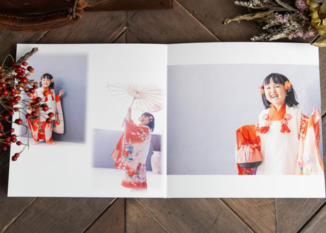 COLOR プレミアム BOOK