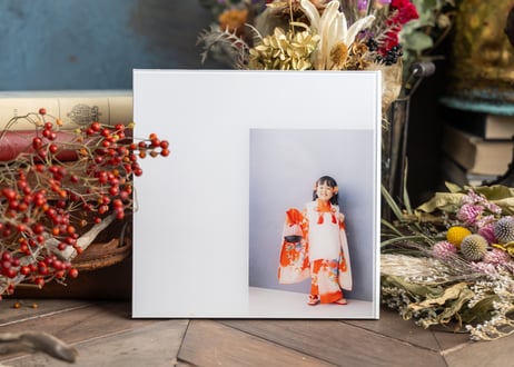 COLOR プレミアム BOOK