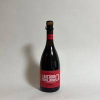 《Italy》ｸｴﾙﾁｵｰﾘ ﾚｯｼﾞｱｰﾉ ﾗﾝﾌﾞﾙｽｺ ﾄﾞﾙﾁｪ