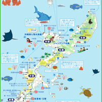 沖縄本島マップ　PDFデータ