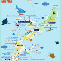 Okinawa Main Island Map PDF