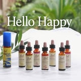 Hello Happy
