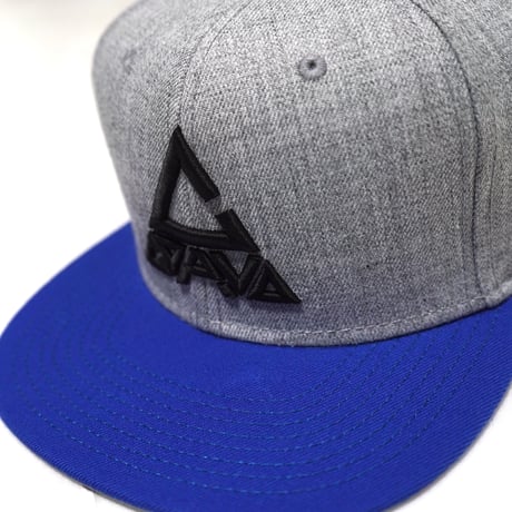 CORVO 3D LOGO SNAPBACK CAP(Gray × Blue)