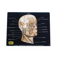 CGER Poster(Head)