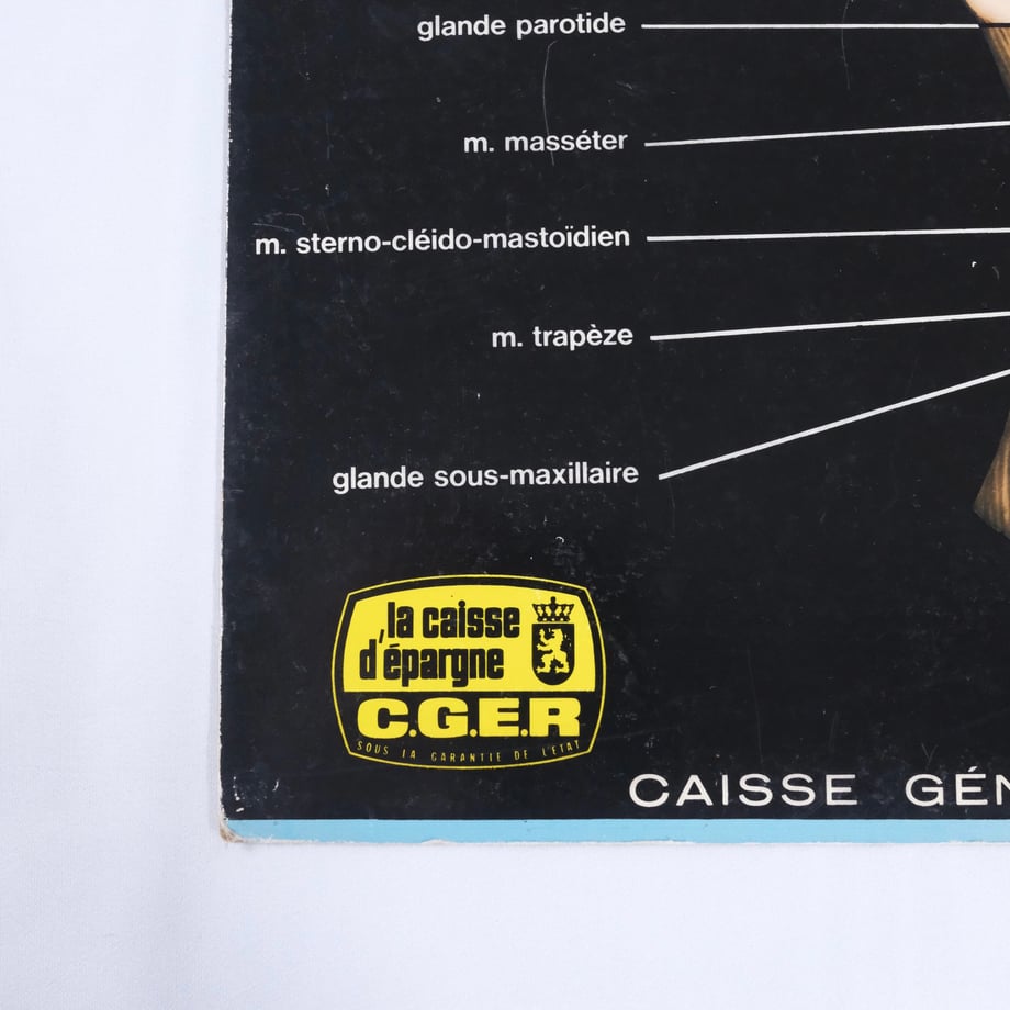 6a33c9436aabc30cec50b2d9