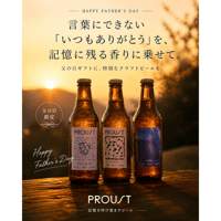 【父の日ギフト】送料一律500円！PROUST クラフトビール6本ボックスセット｜3種類×2本