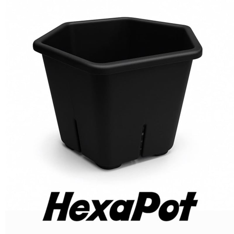 HexaPot (ヘキサポット)5号 サイズ　30個セット HexaPot 〝ヘキサポット〟5号サイズ 30ポットセット | Pay ID