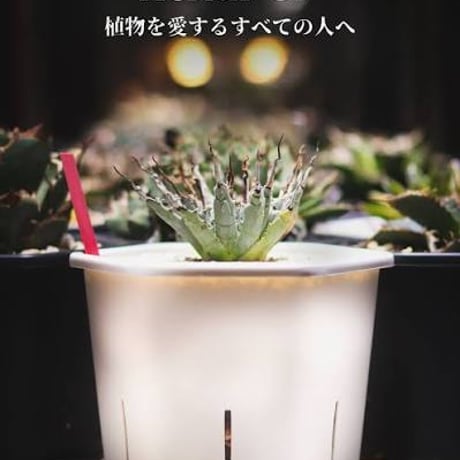 アガベ鉢 | STORES