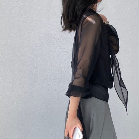 misty sheer ribbon blouse｜ミスティシアーリボンブラウス（2color）　HB1090