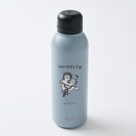 STAINLESS BOTTLE 500ml （CADET BLUE）