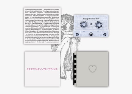 『discografía2020-2025』 - mis sueños son de tu adiós