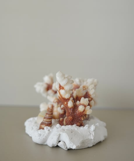 Souvenir