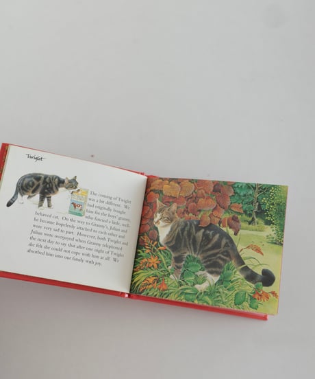Picture Book