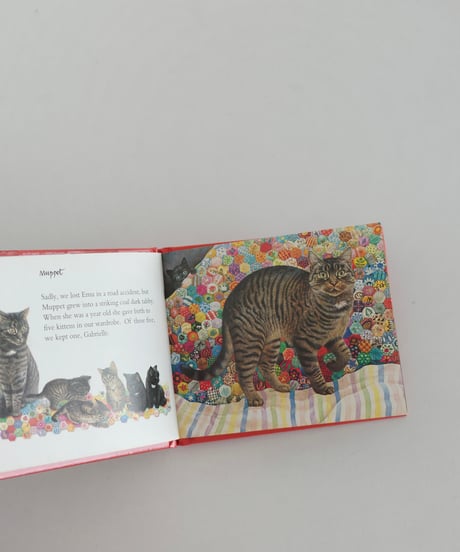 Picture Book