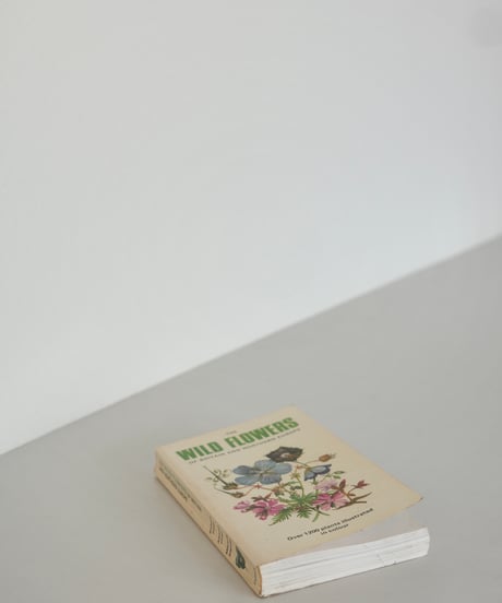 Coffee Table Book