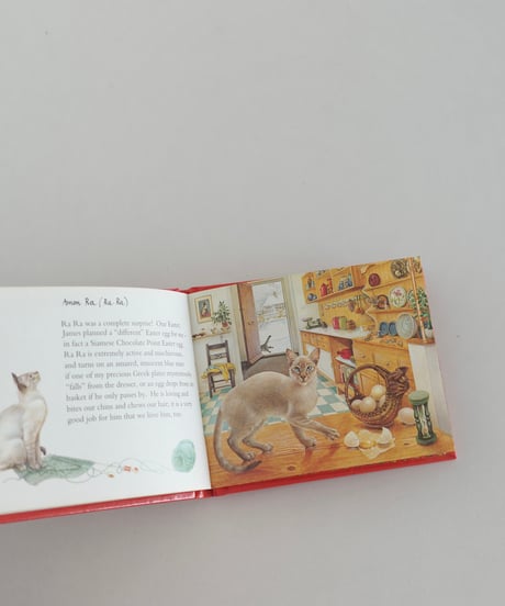 Picture Book