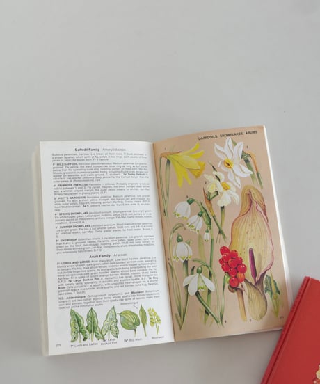 Coffee Table Book