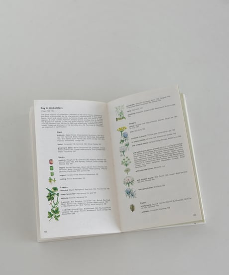 Coffee Table Book