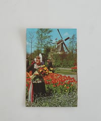 Post Card