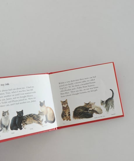 Picture Book
