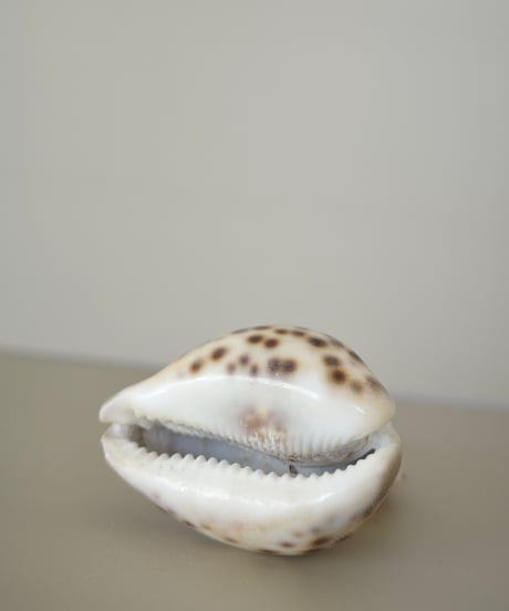Souvenir
