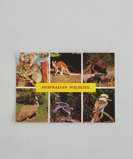 Post Card