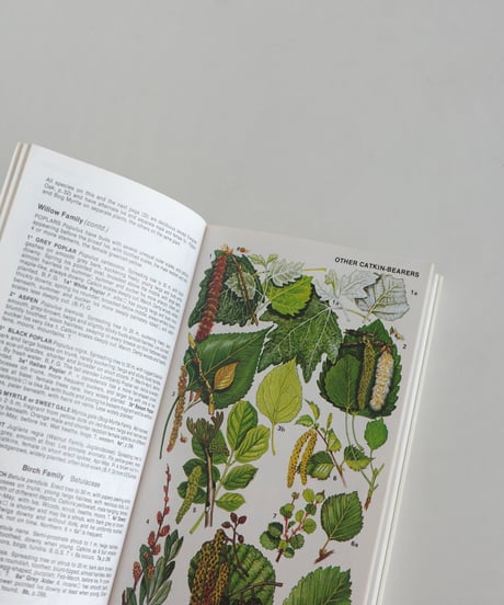 Coffee Table Book