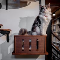 moku to. キャットトンネル