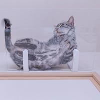 CATROAD+ ワイドステップ 450mm