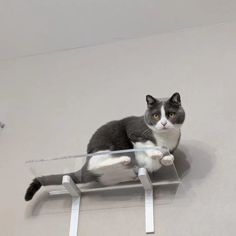 CATROAD+ ワイドステップ 450mm