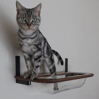 moku to.キャットバス