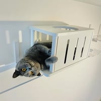 CATROAD+ キャットトンネル