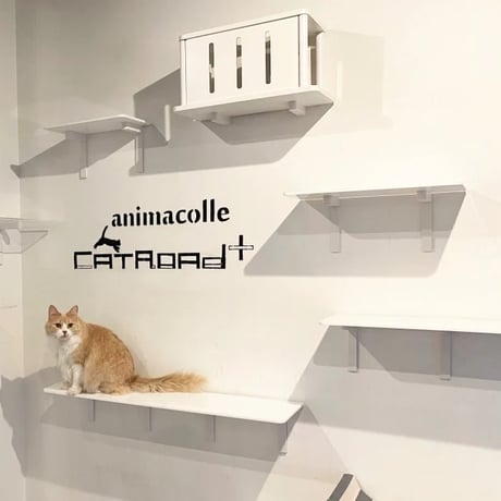 CATROAD+ ロングステップ 900mm
