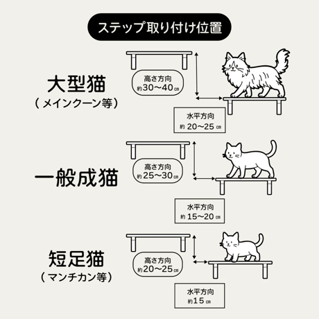CATROAD+ ワイドステップ 450mm