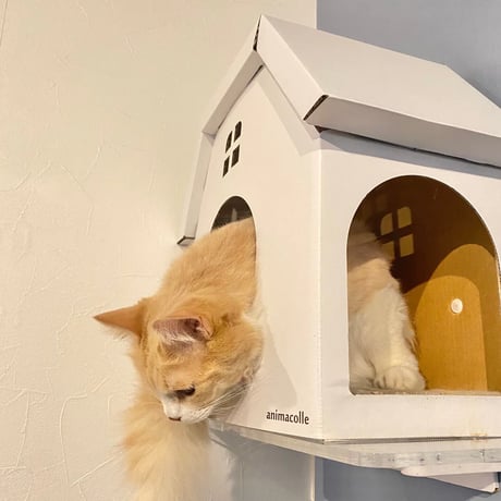 nyanparfait 爪とぎキャットハウス （4color）