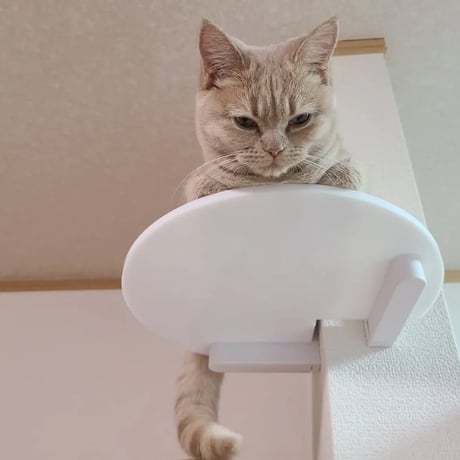 CATROAD+ コーナーステップ