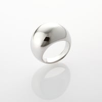 earth ring SV