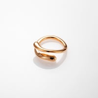torquent ring PG