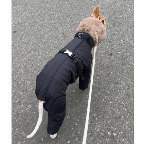 Snow suit イタグレ スノー スーツ イタグレ スノースーツ2着セット