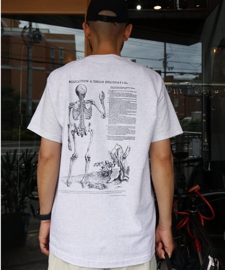 〈COTTON EXPRESSIONS〉 VESALIUS’ S SKELTON Tee / Ash Gray