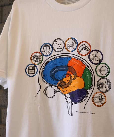 〈COTTON EXPRESSIONS〉 Brainatomy Tee / White