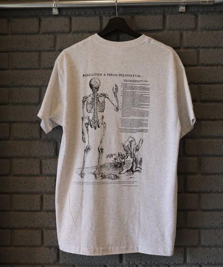 〈COTTON EXPRESSIONS〉 VESALIUS’ S SKELTON Tee / Ash Gray