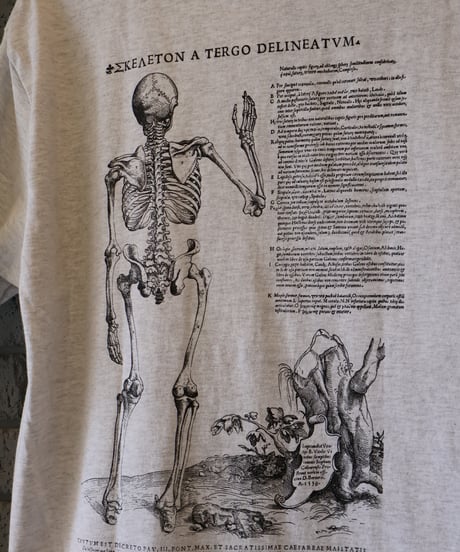 〈COTTON EXPRESSIONS〉 VESALIUS’ S SKELTON Tee / Ash Gray