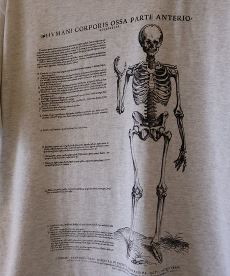 〈COTTON EXPRESSIONS〉 VESALIUS’ S SKELTON Tee / Ash Gray