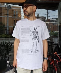 〈COTTON EXPRESSIONS〉 VESALIUS’ S SKELTON Tee / Ash Gray