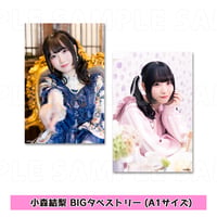 紫月杏朱彩 BIGタペストリー（おでかけ・メイド・ゲーム）A1サイズ